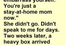 “I Dismissed My Wife as ‘Only a Stay-at-Home Mom’ and Barred Her From Her Reunion—Then a Mysterious Package Shattered My World”